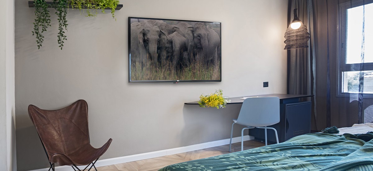 חדר סופיריור גישה לגינה | מלון ניר עציון