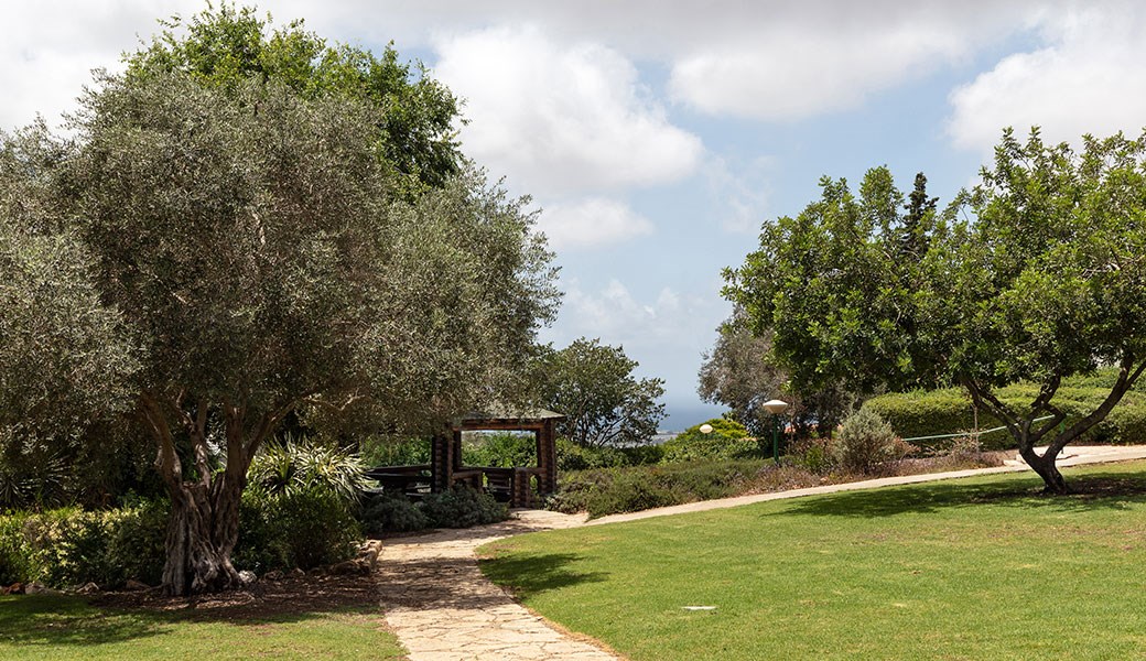 פינות ירוקות | מלון ניר עציון 