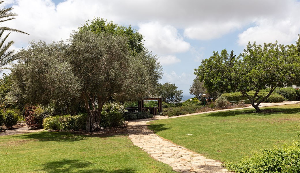 פינות ירוקות | מלון ניר עציון