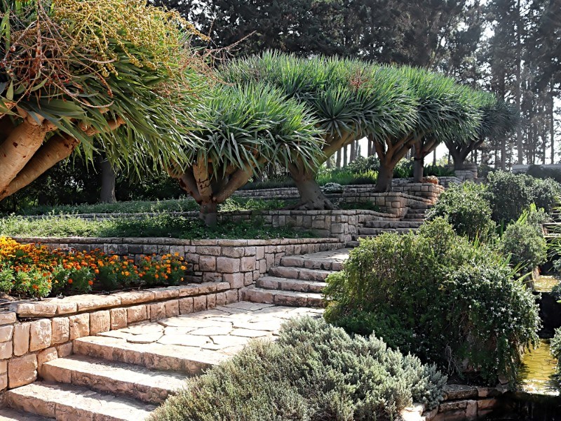 רמת הנדיב רמת הנדיב
